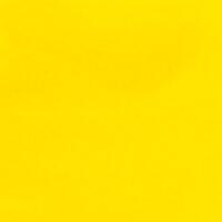 Cadmium Yellow Light CP 4oz - Click Image to Close