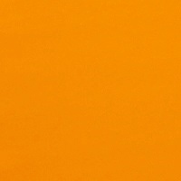 Cadmium Orange Light 8oz
