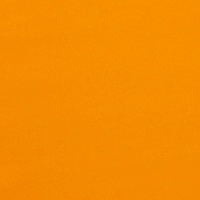 Cadmium Orange Light 8oz