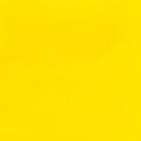 Cadmium Yellow Light CP 1oz