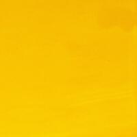 Cadmium Yellow Medium CP 8oz