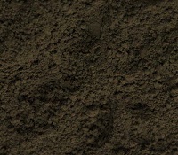 Italian Raw Umber (rare Earth) 8 oz Dry by Volume