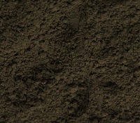 Italian Raw Umber (rare Earth) 2 oz Dry by Volume